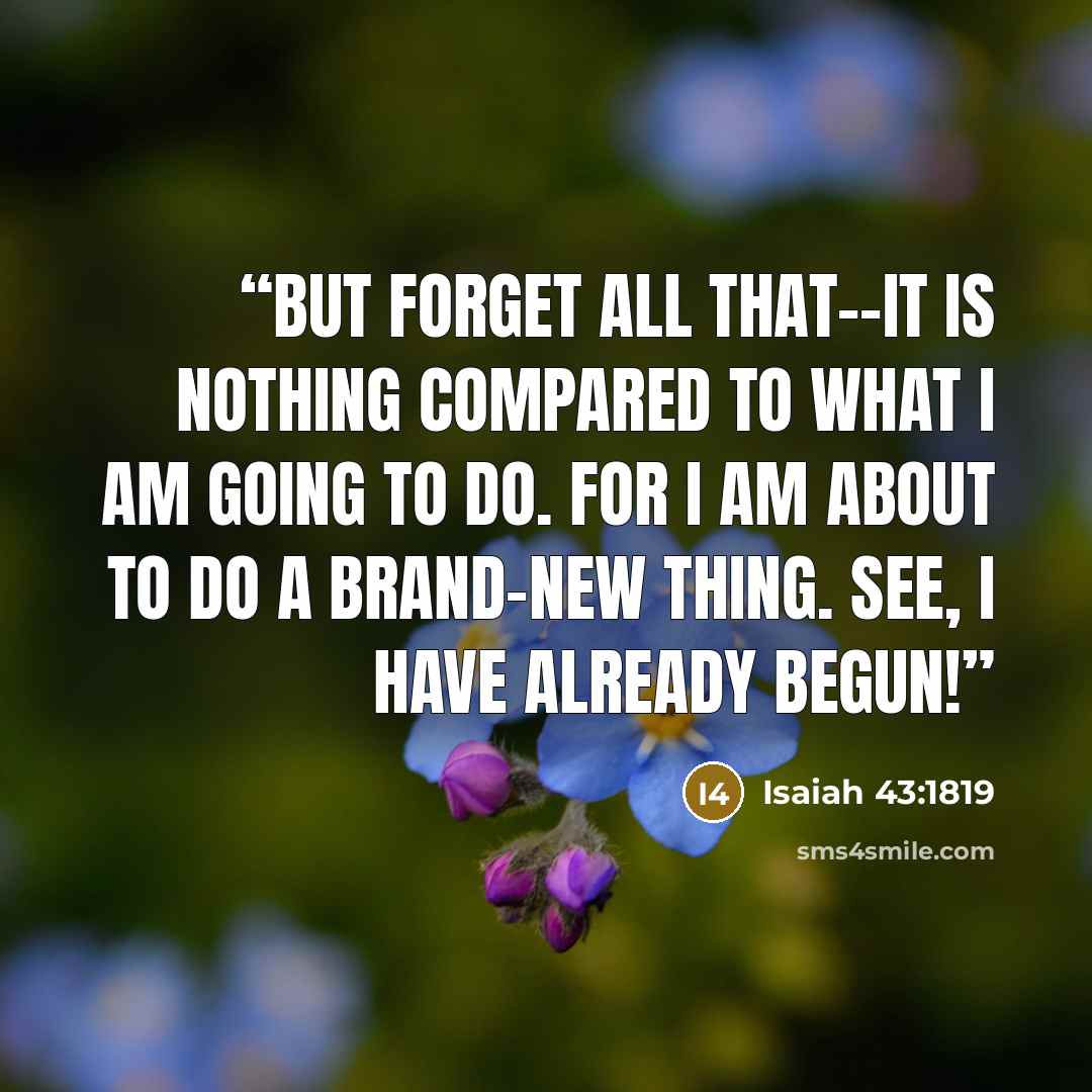 “But forget all that--it is nothing compared to what I am going to do. For I am about to do a brand-new thing. See, I have already begun!” quote by Isaiah 43:1819