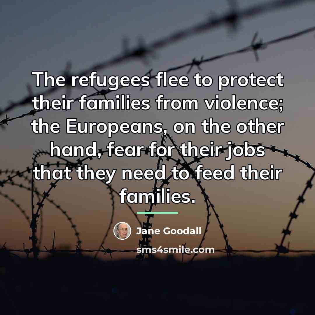 “The refugees flee to protect their families from violence; the…” quote by Jane Goodall