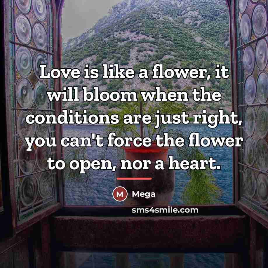 “Love is like a flower, it will bloom when the…” quote by Mega