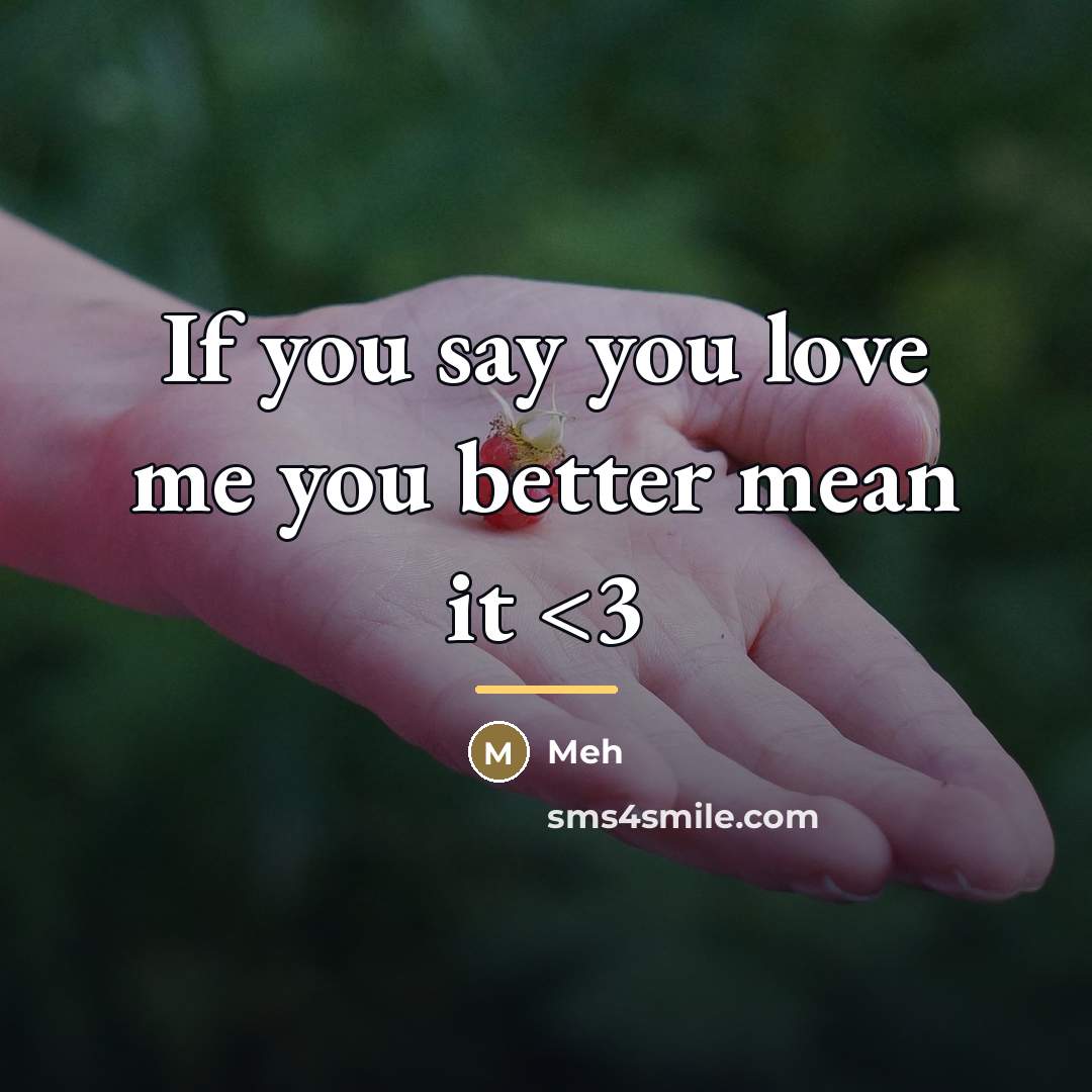 “If you say you love me you better mean it…” quote by Meh