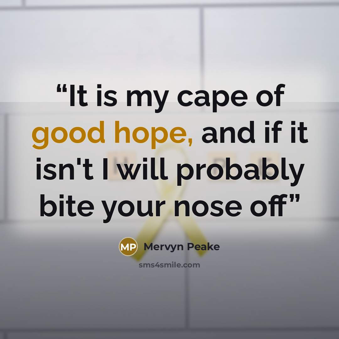 “It is my cape of good hope, and if it isn't I will probably bite your nose off” quote by Mervyn Peake