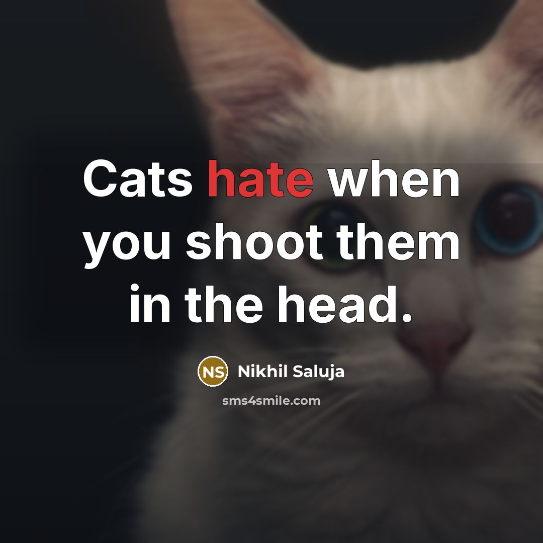 “Cats hate when you shoot them in the head.…” quote by Nikhil Saluja