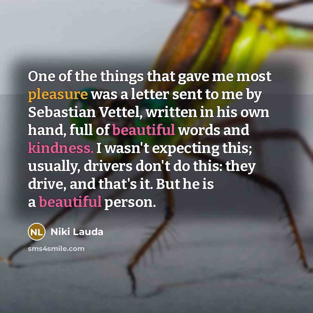 “One of the things that gave me most pleasure was…” quote by Niki Lauda