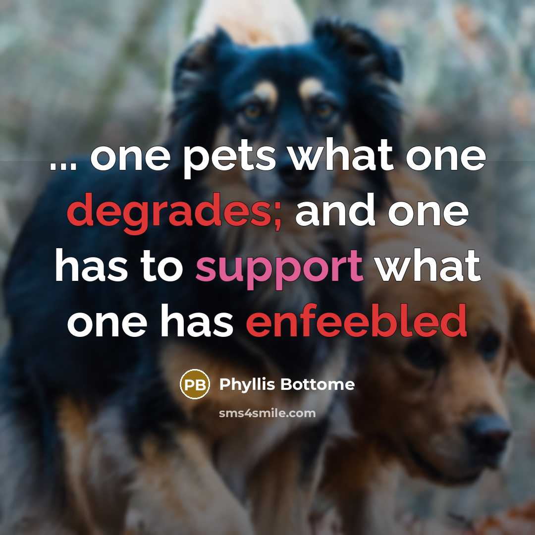 “... one pets what one degrades; and one has to support what one has enfeebled” quote by Phyllis Bottome
