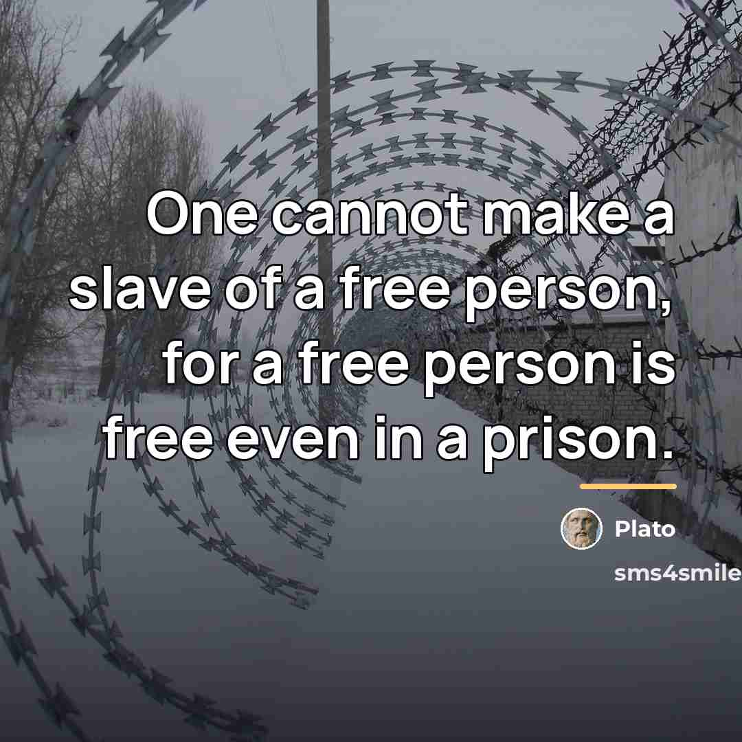 “One cannot make a slave of a free person, for…” quote by Plato