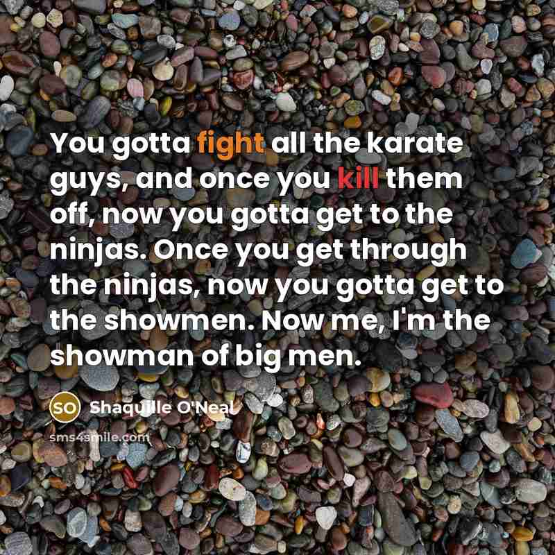 “You gotta fight all the karate guys, and once you…” quote by Shaquille O'Neal