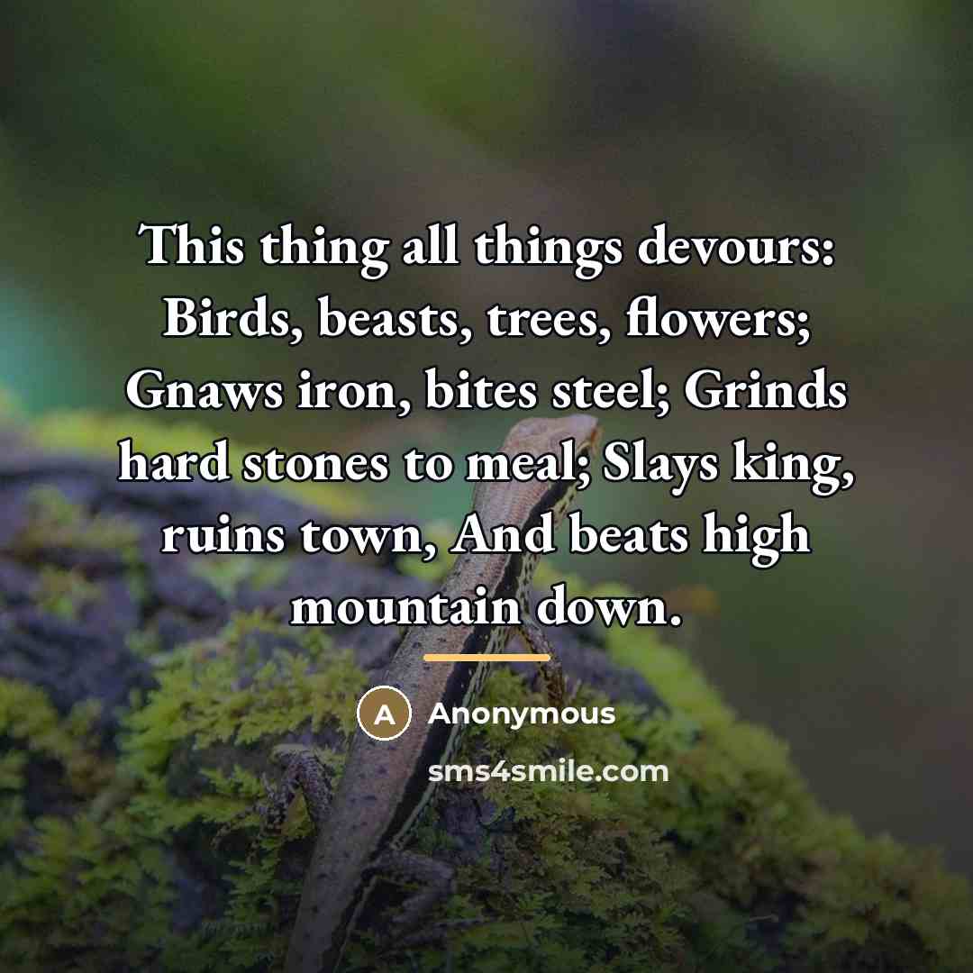 “This thing all things devours: Birds, beasts, trees, flowers; Gnaws…” quote by Anonymous
