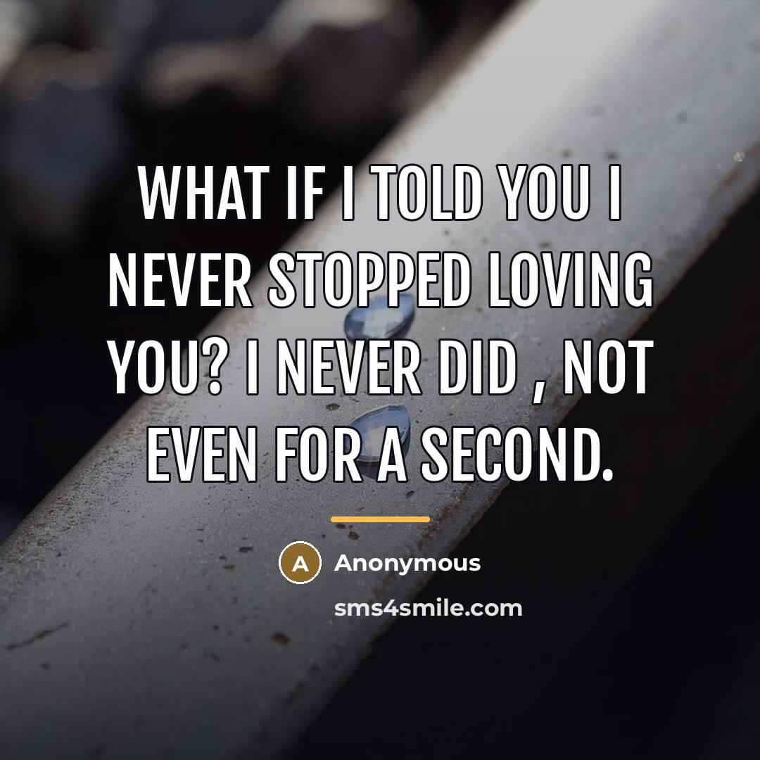 “What if I told you I never stopped loving you?…” quote by Anonymous