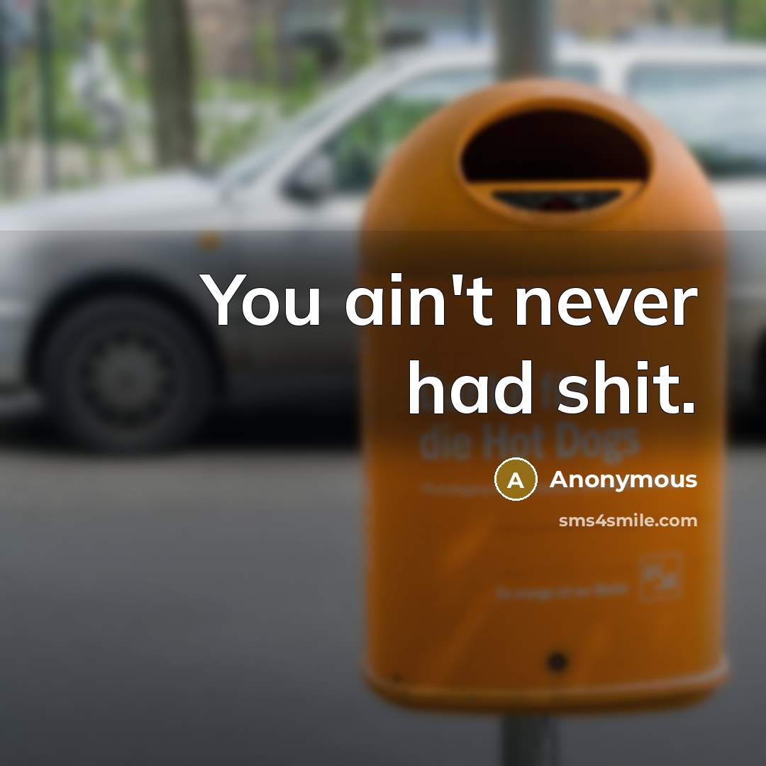 “You ain't never had shit.” quote by Anonymous