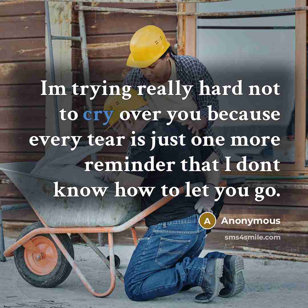 “Im trying really hard not to cry over you because every tear is just one more reminder that I dont know how to let you go.” quote by Anonymous
