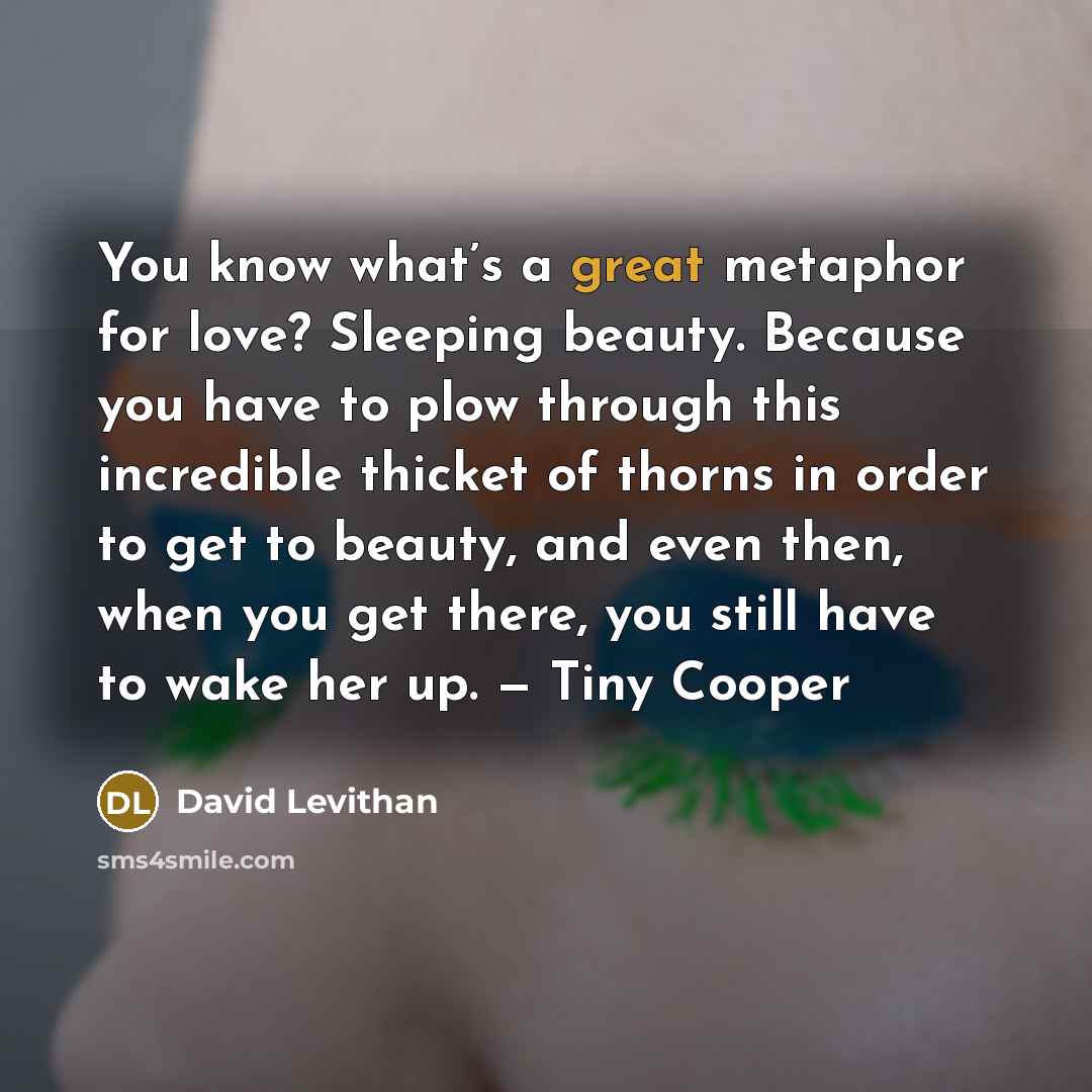 “You know what’s a great metaphor for love? Sleeping beauty.…” quote by David Levithan