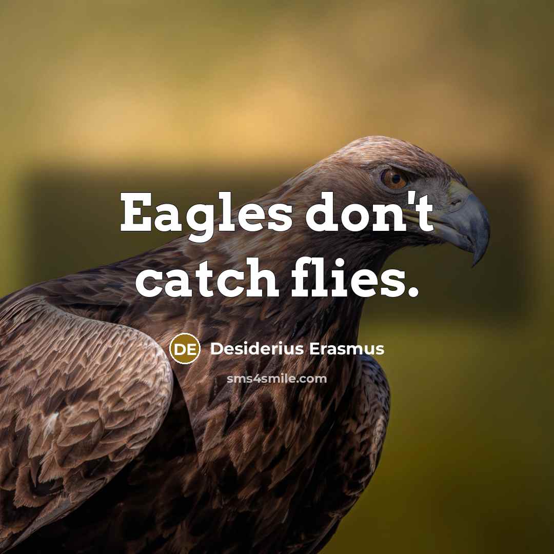“Eagles don't catch flies.…” quote by Desiderius Erasmus
