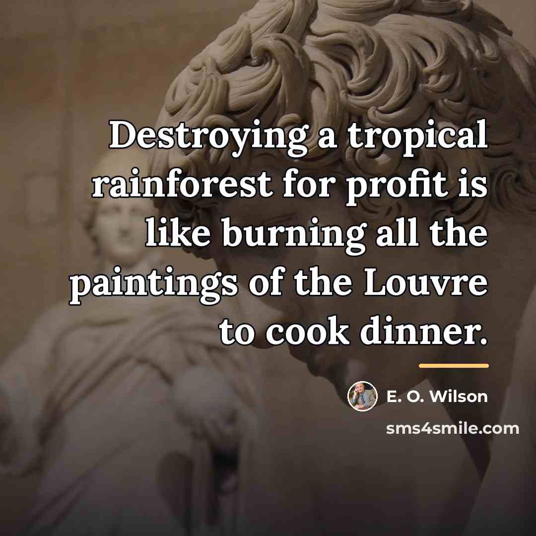 “Destroying a tropical rainforest for profit is like burning all…” quote by E. O. Wilson