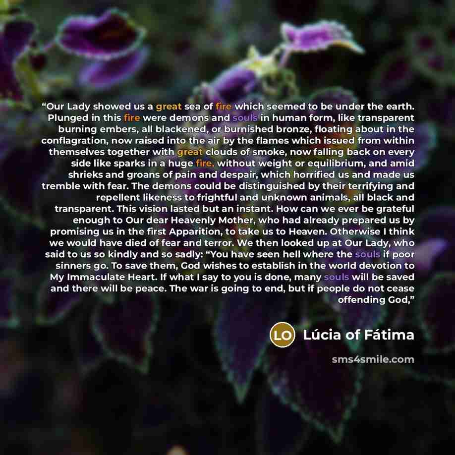 “Our Lady showed us a great sea of fire which seemed to be under the earth. Plunged in this fire were demons and souls in human form, like transparent burning embers, all blackened, or burnished bronze, floating about in the conflagration, now raised into the air by the flames which issued from…” quote by Lúcia of Fátima