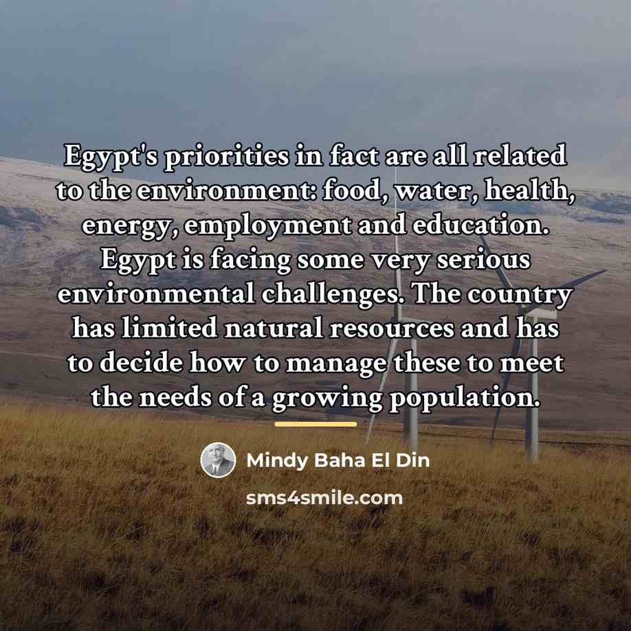 “Egypt's priorities in fact are all related to the environment:…” quote by Mindy Baha El Din