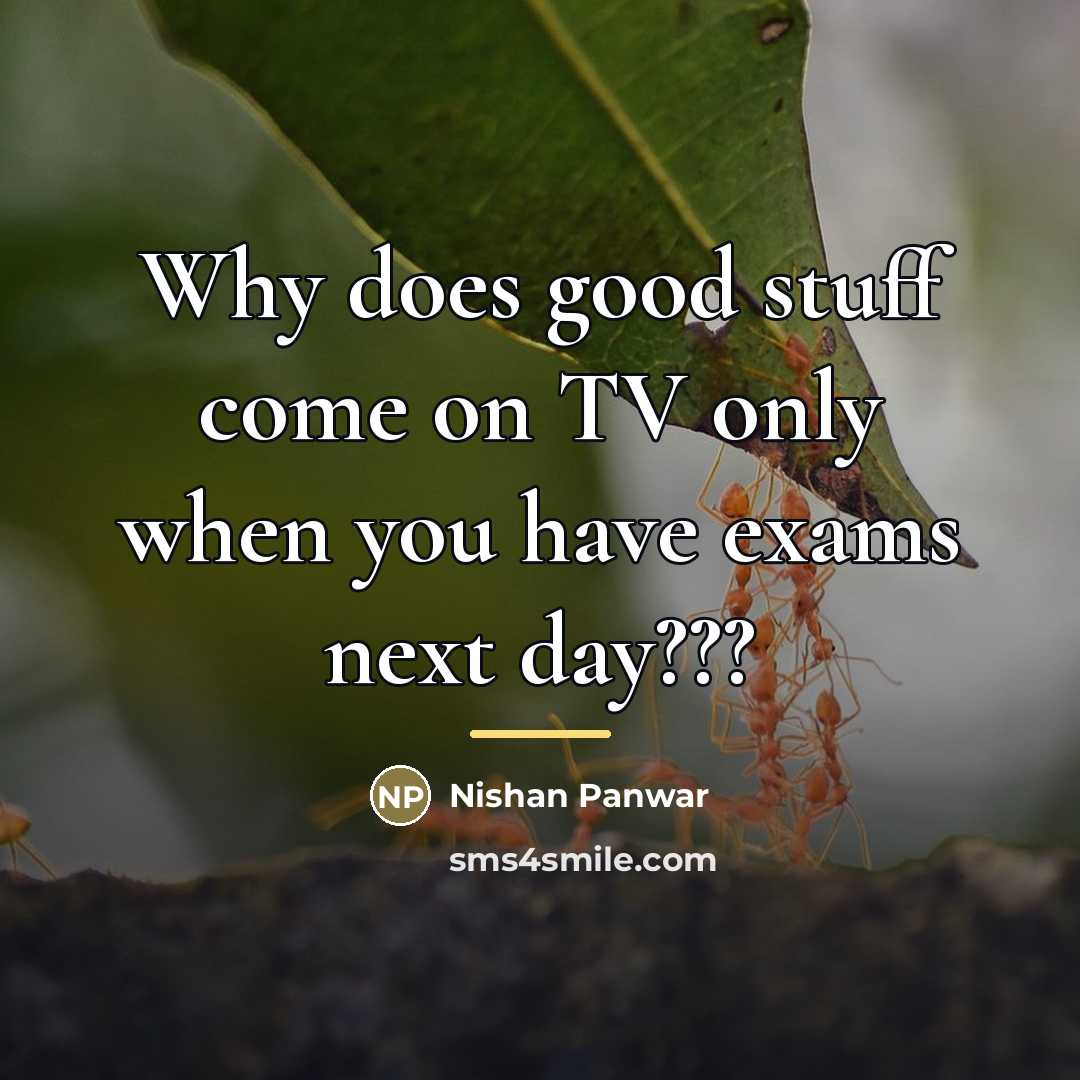 “Why does good stuff come on TV only when you…” quote by Nishan Panwar