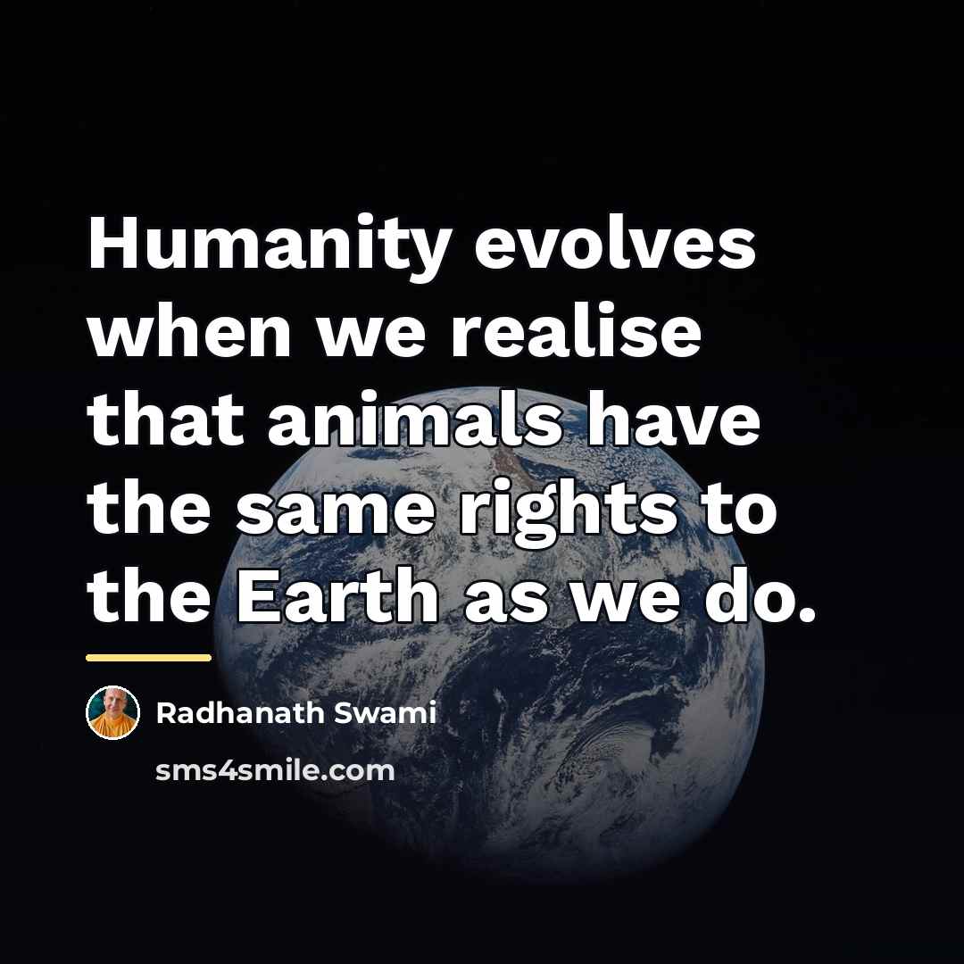 “Humanity evolves when we realise that animals have the same…” quote by Radhanath Swami