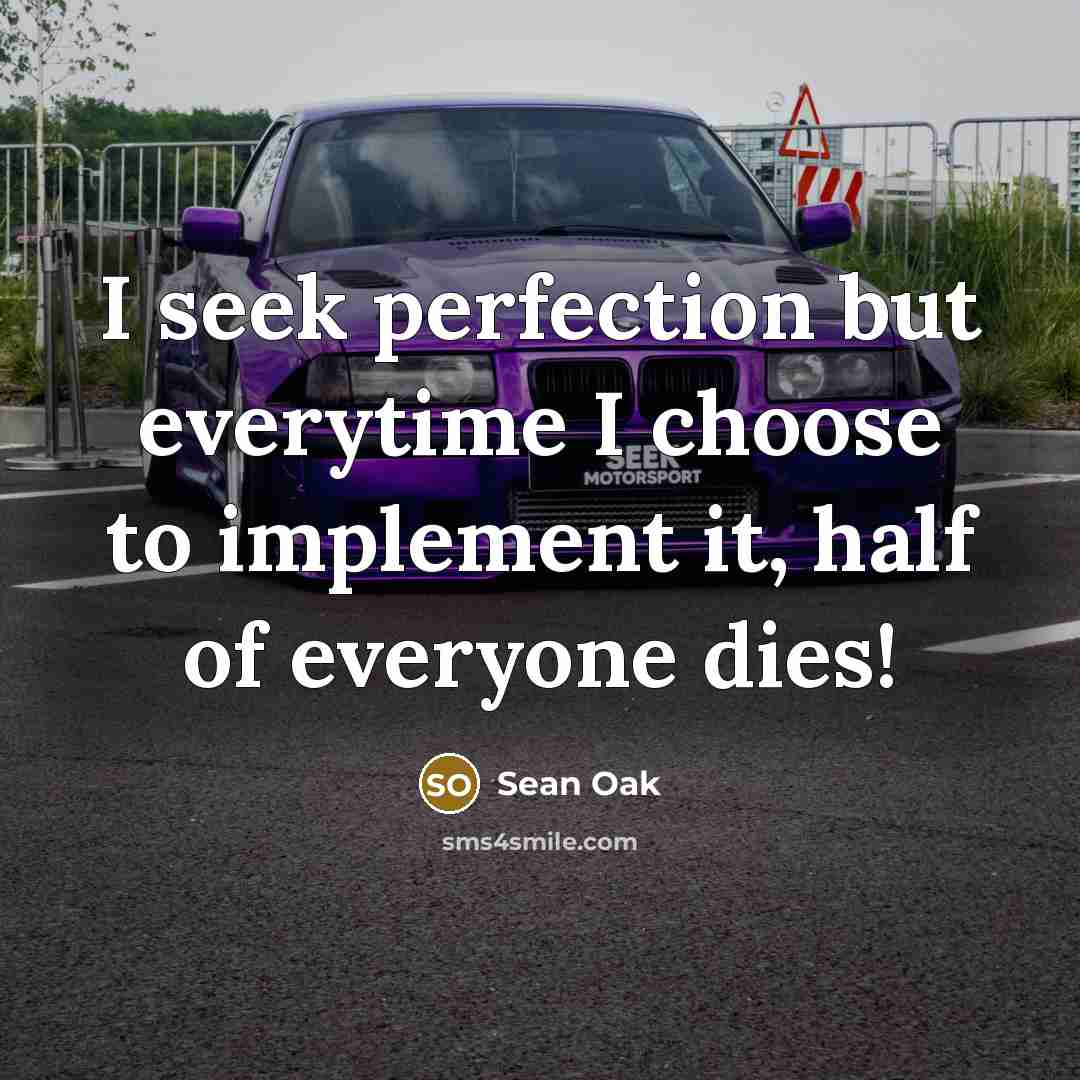 “I seek perfection but everytime I choose to implement it,…” quote by Sean Oak