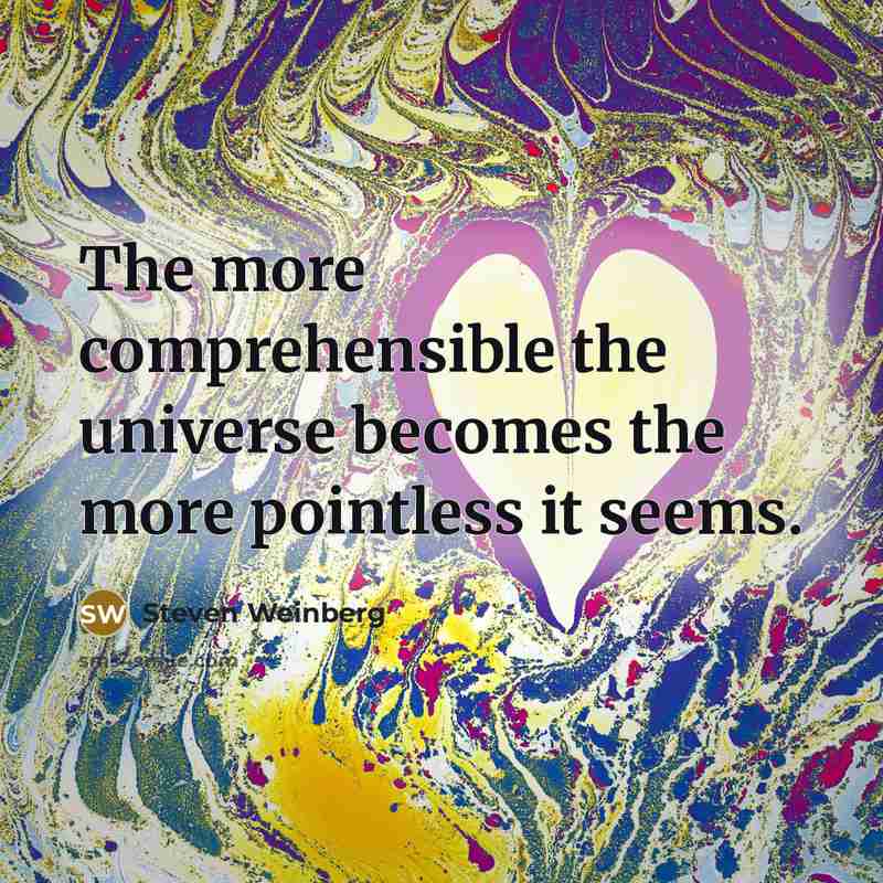“The more comprehensible the universe becomes the more pointless it…” quote by Steven Weinberg