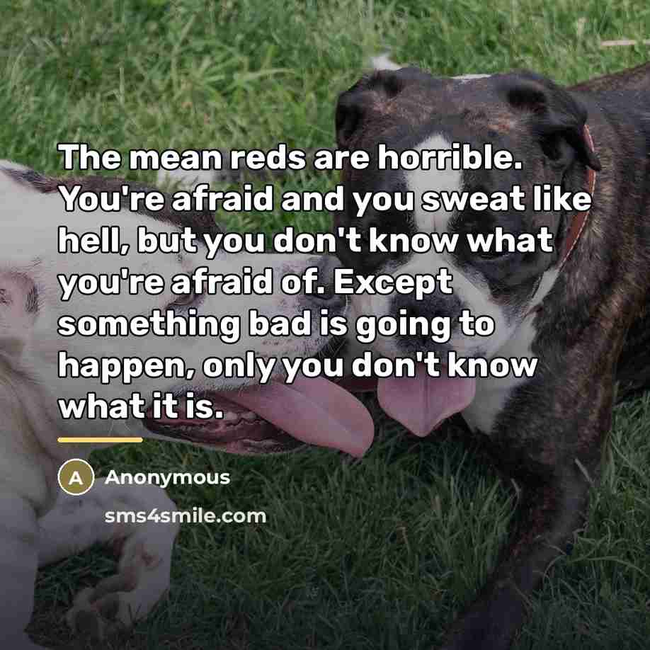 “The mean reds are horrible. You're afraid and you sweat…” quote by Anonymous