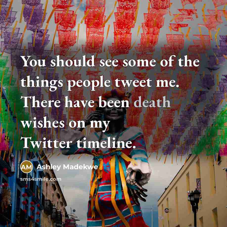 “You should see some of the things people tweet me.…” quote by Ashley Madekwe