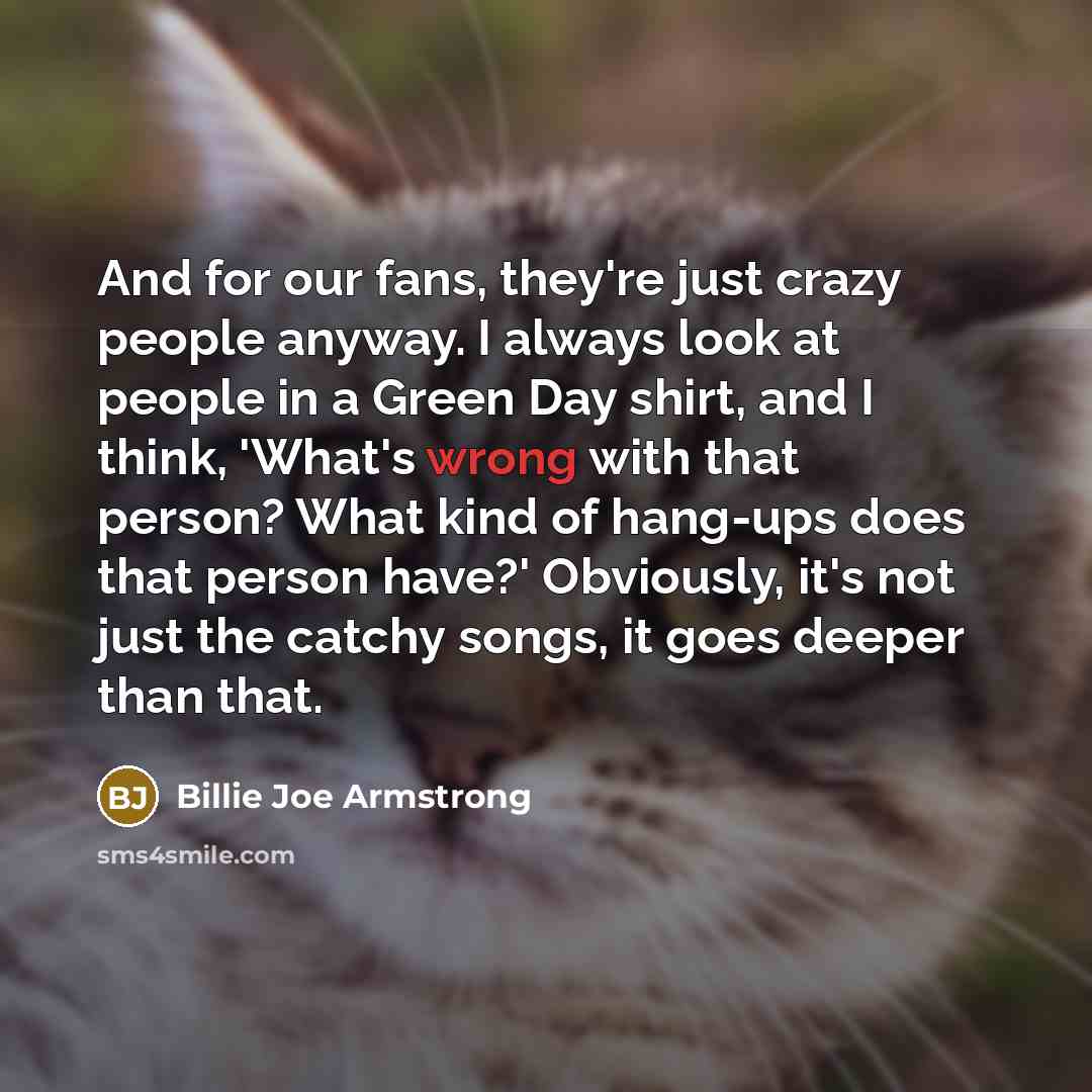 “And for our fans, they're just crazy people anyway. I…” quote by Billie Joe Armstrong
