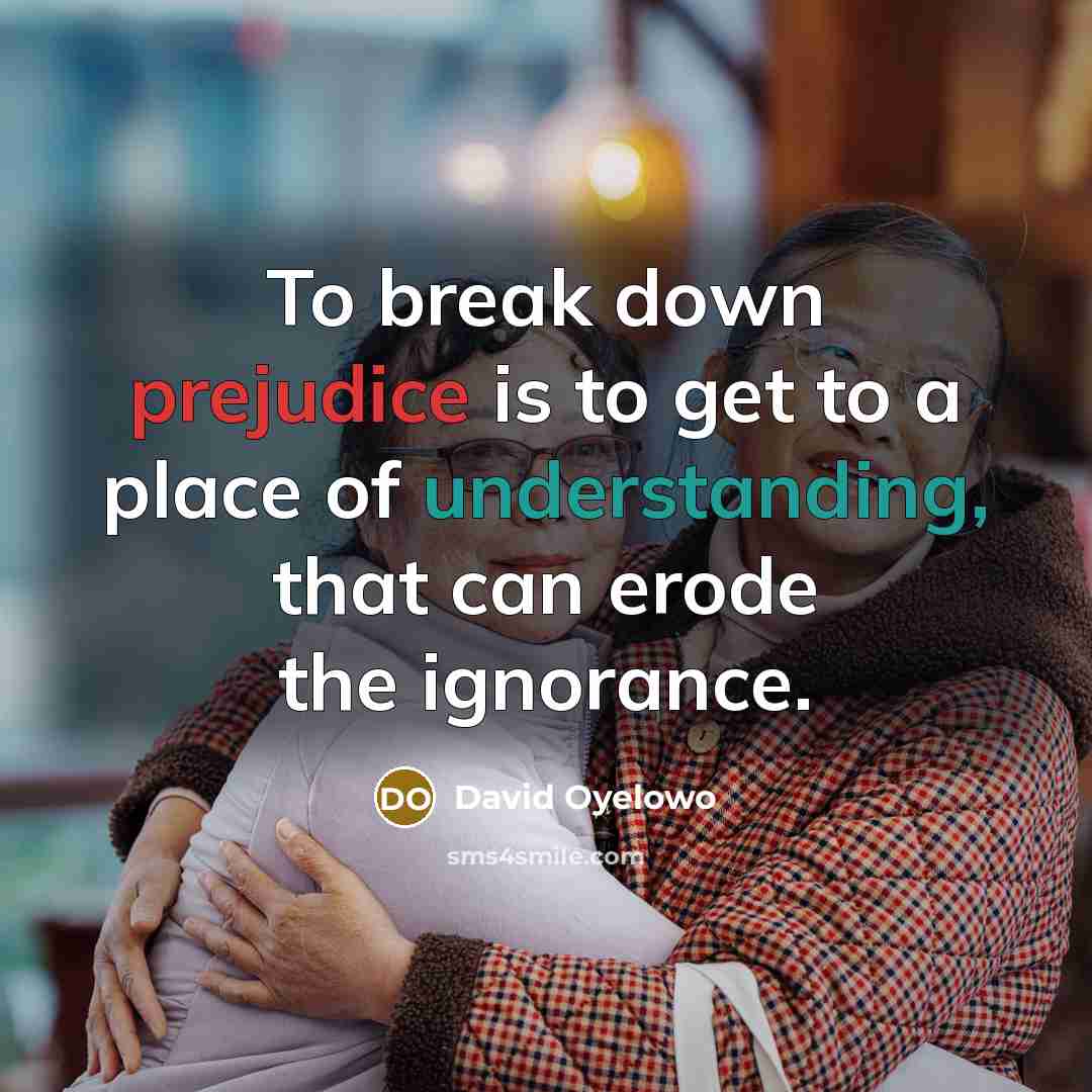 “To break down prejudice is to get to a place…” quote by David Oyelowo