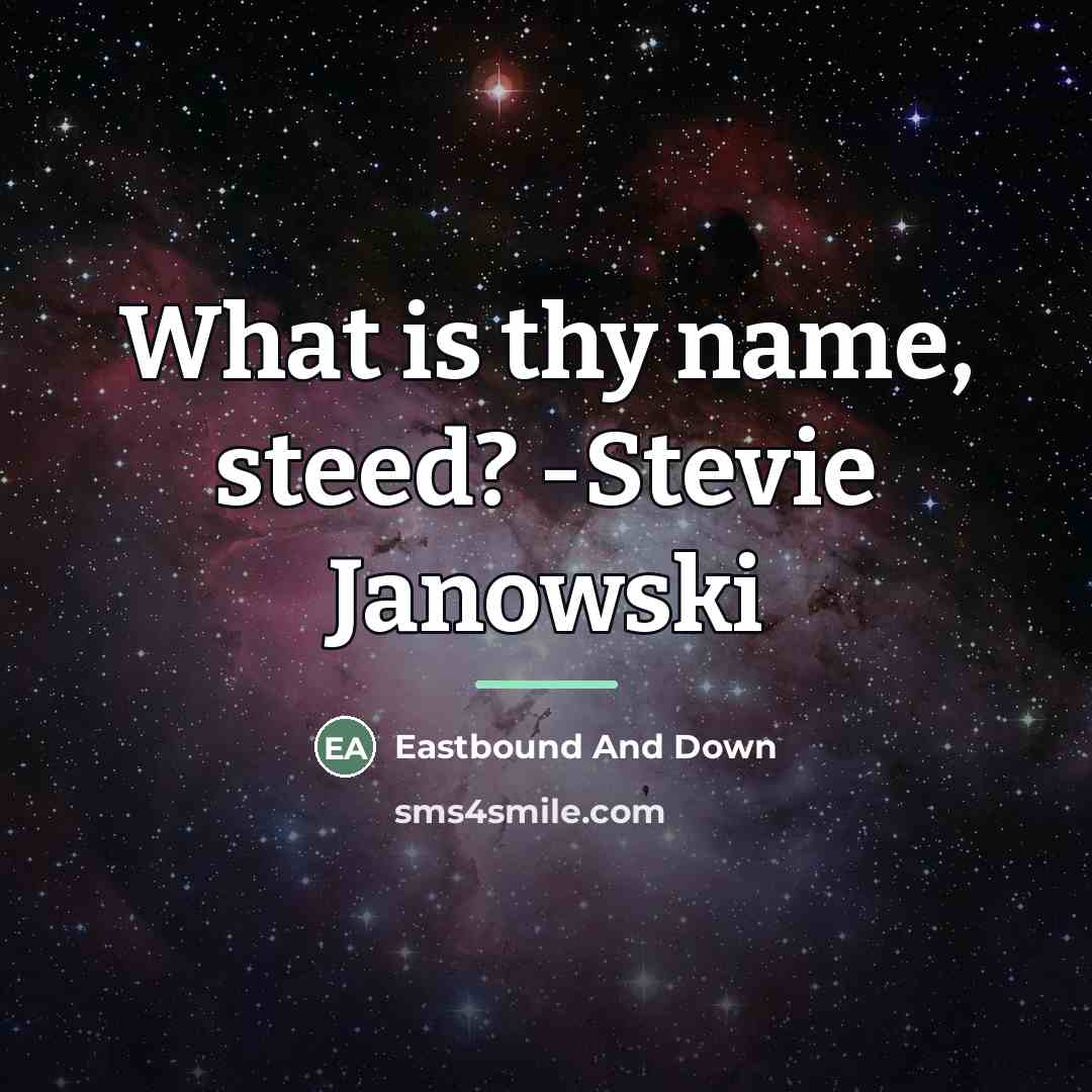 “What is thy name, steed? -Stevie Janowski…” quote by Eastbound And Down