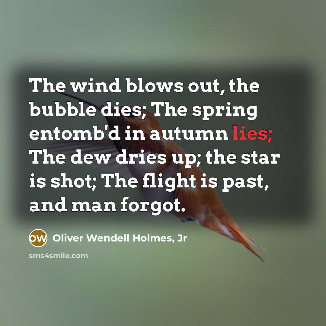“The wind blows out, the bubble dies; The spring entomb'd…” quote by Oliver Wendell Holmes, Jr