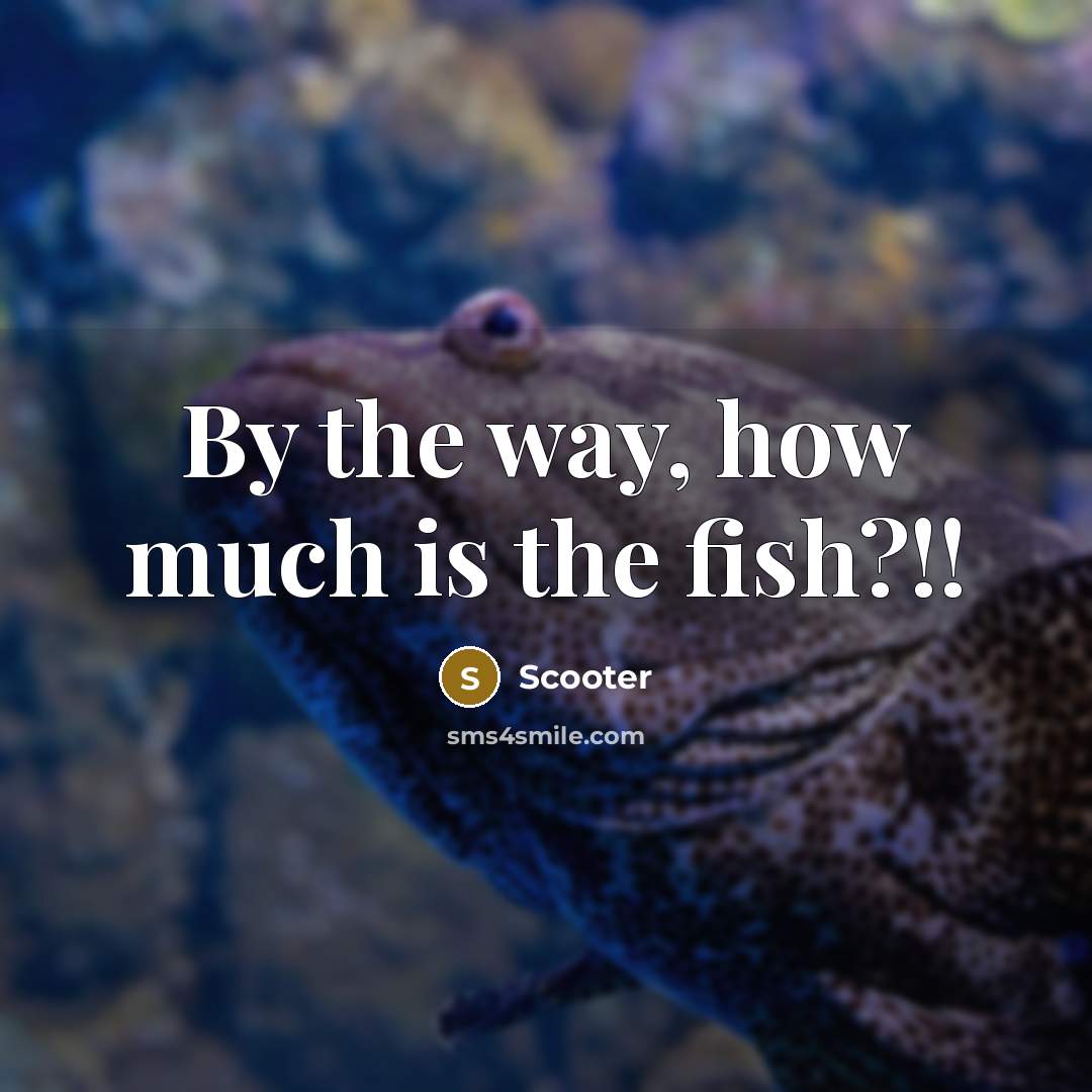 “By the way, how much is the fish?!!…” quote by Scooter