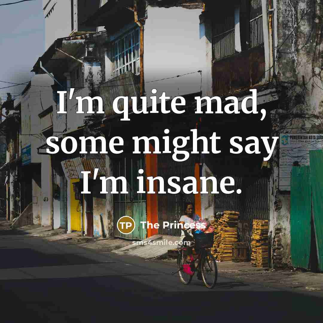 “I'm quite mad, some might say I'm insane.…” quote by The Princess