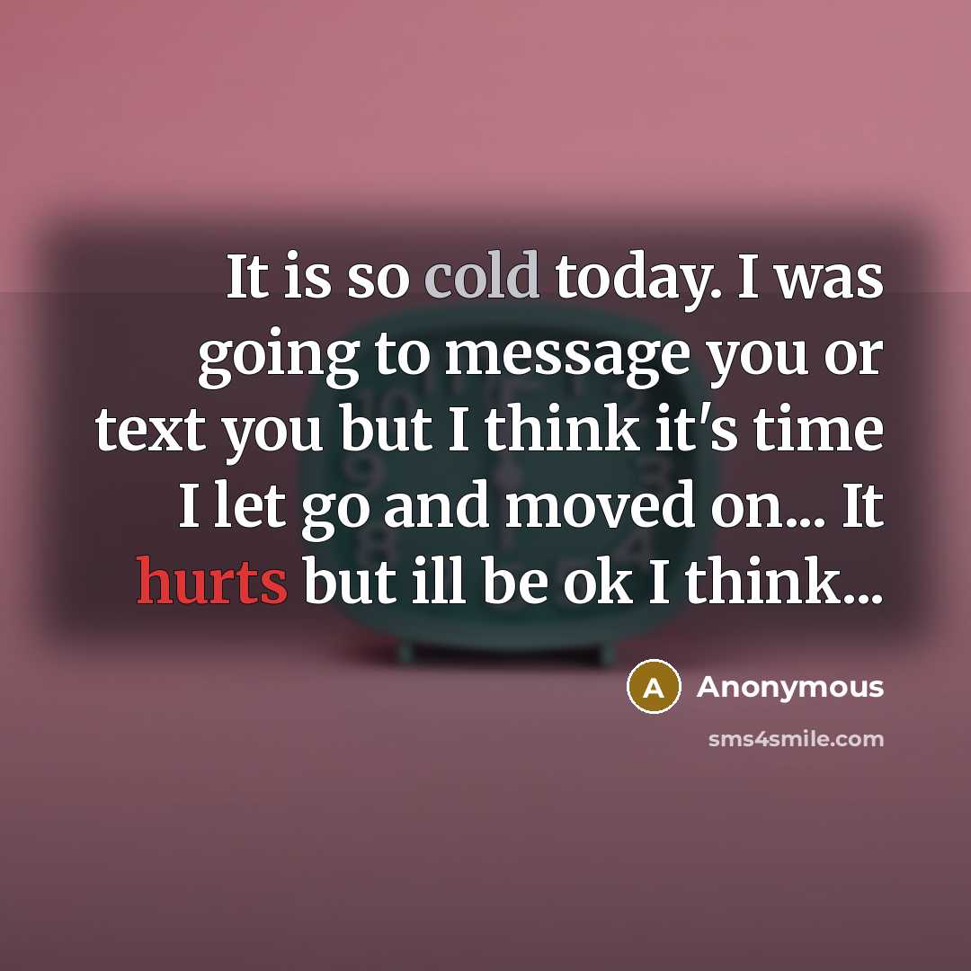 “It is so cold today. I was going to message you or text you but I think it's time I let go and moved on... It hurts but ill be ok I think...” quote by Anonymous