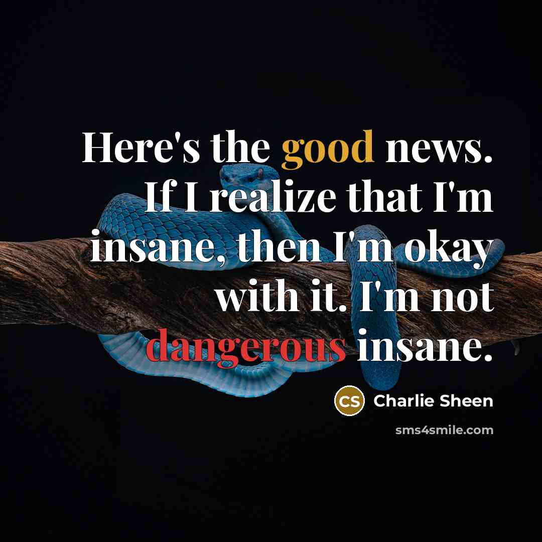 “Here's the good news. If I realize that I'm insane,…” quote by Charlie Sheen