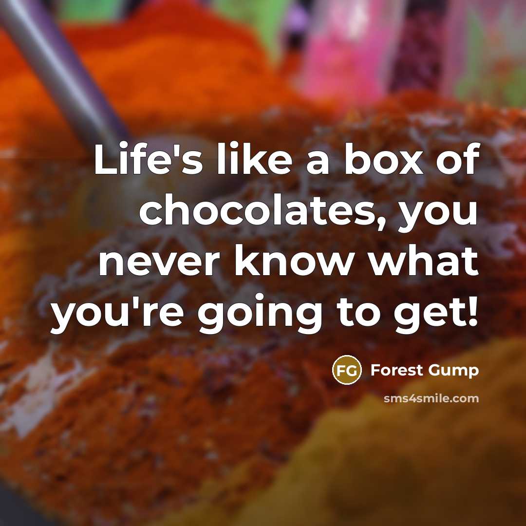 “Life's like a box of chocolates, you never know what…” quote by Forest Gump