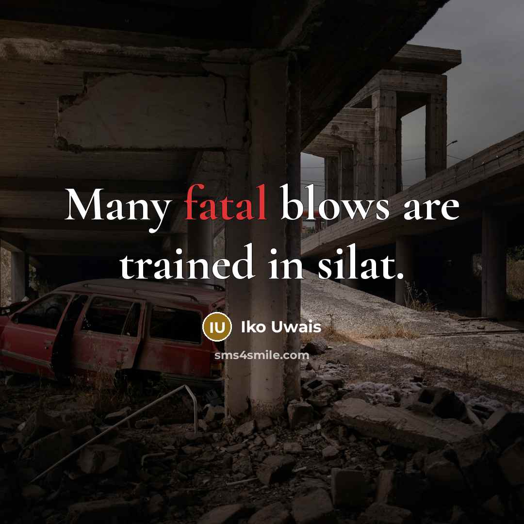 “Many fatal blows are trained in silat.…” quote by Iko Uwais