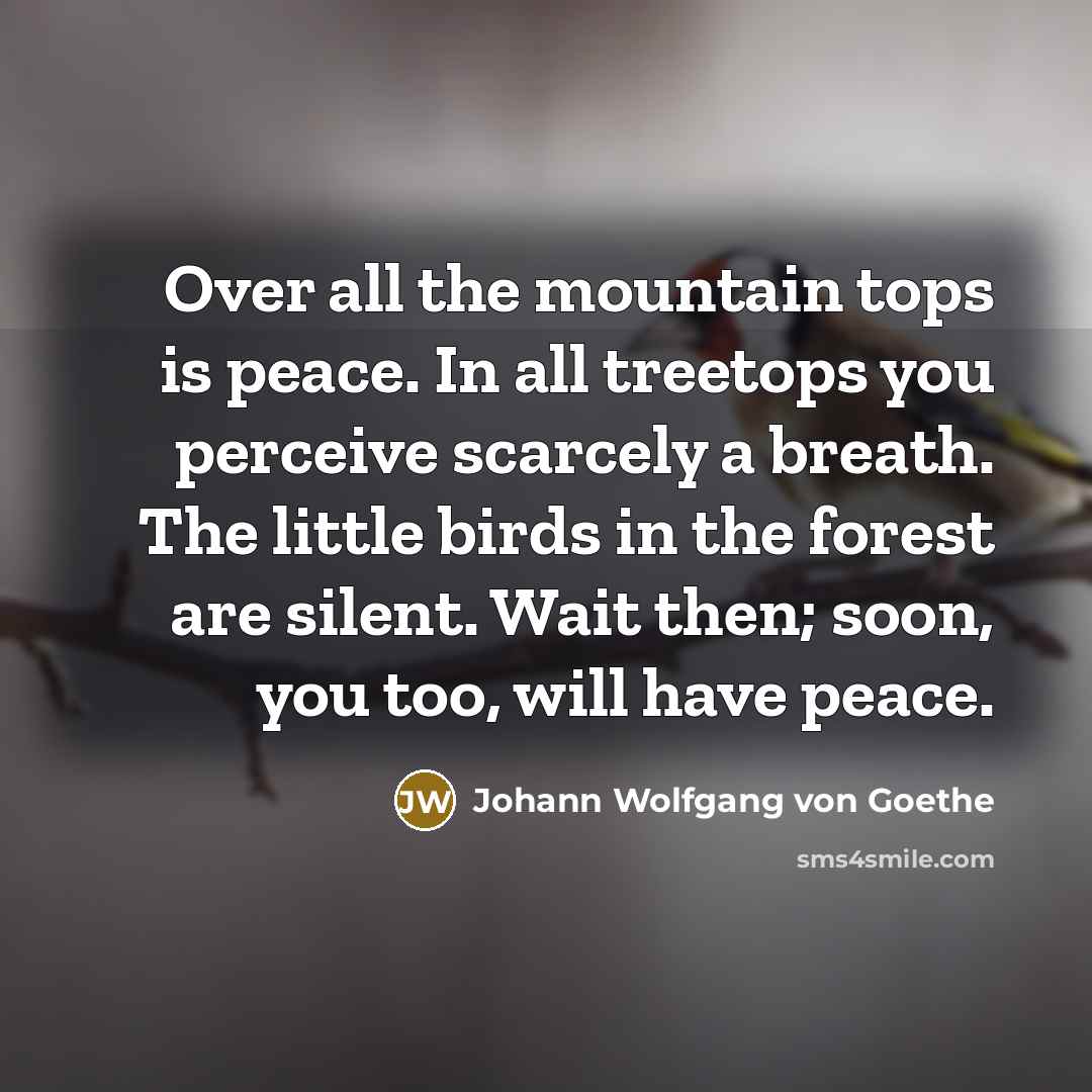 “Over all the mountain tops is peace. In all treetops…” quote by Johann Wolfgang von Goethe