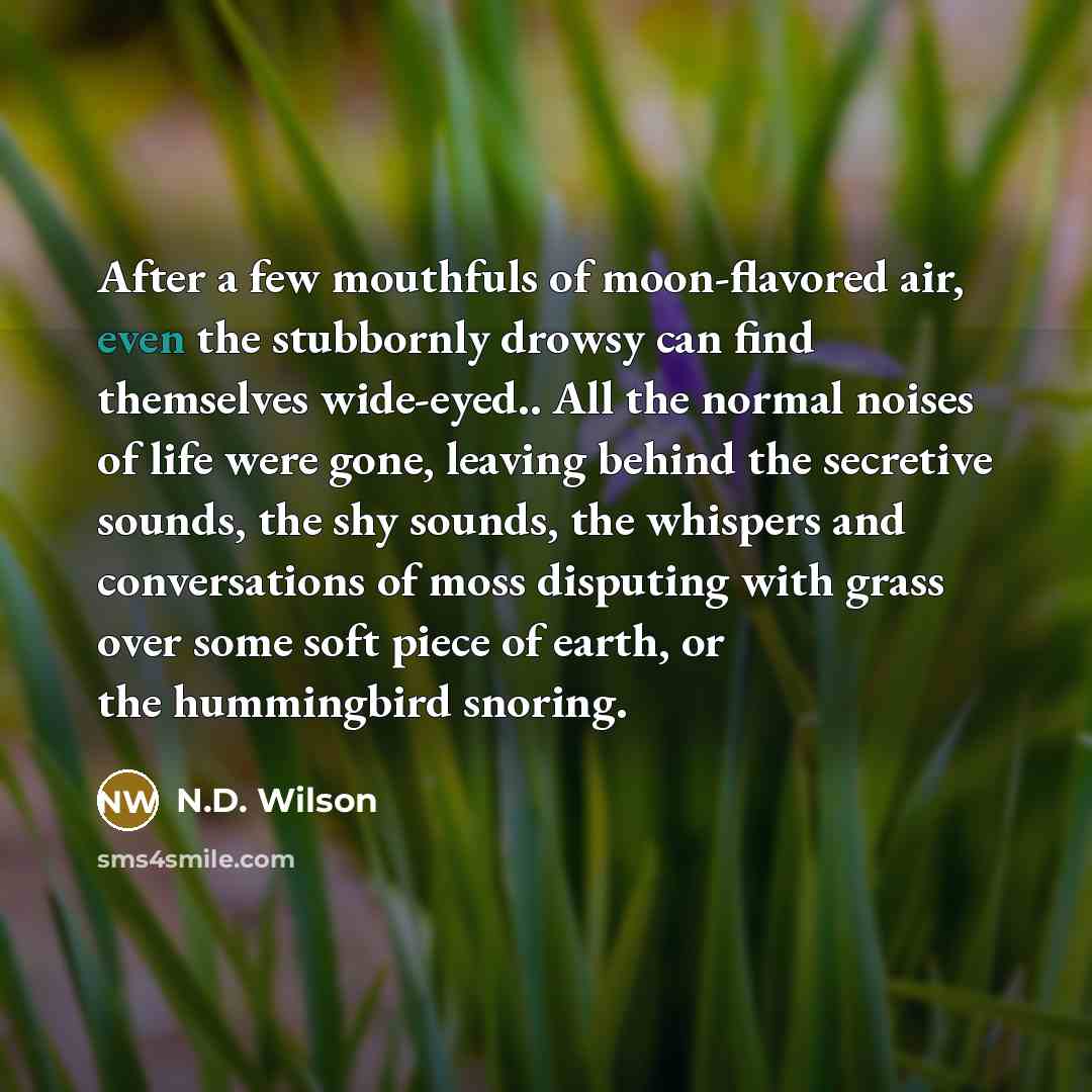 “After a few mouthfuls of moon-flavored air, even the stubbornly…” quote by N.D. Wilson