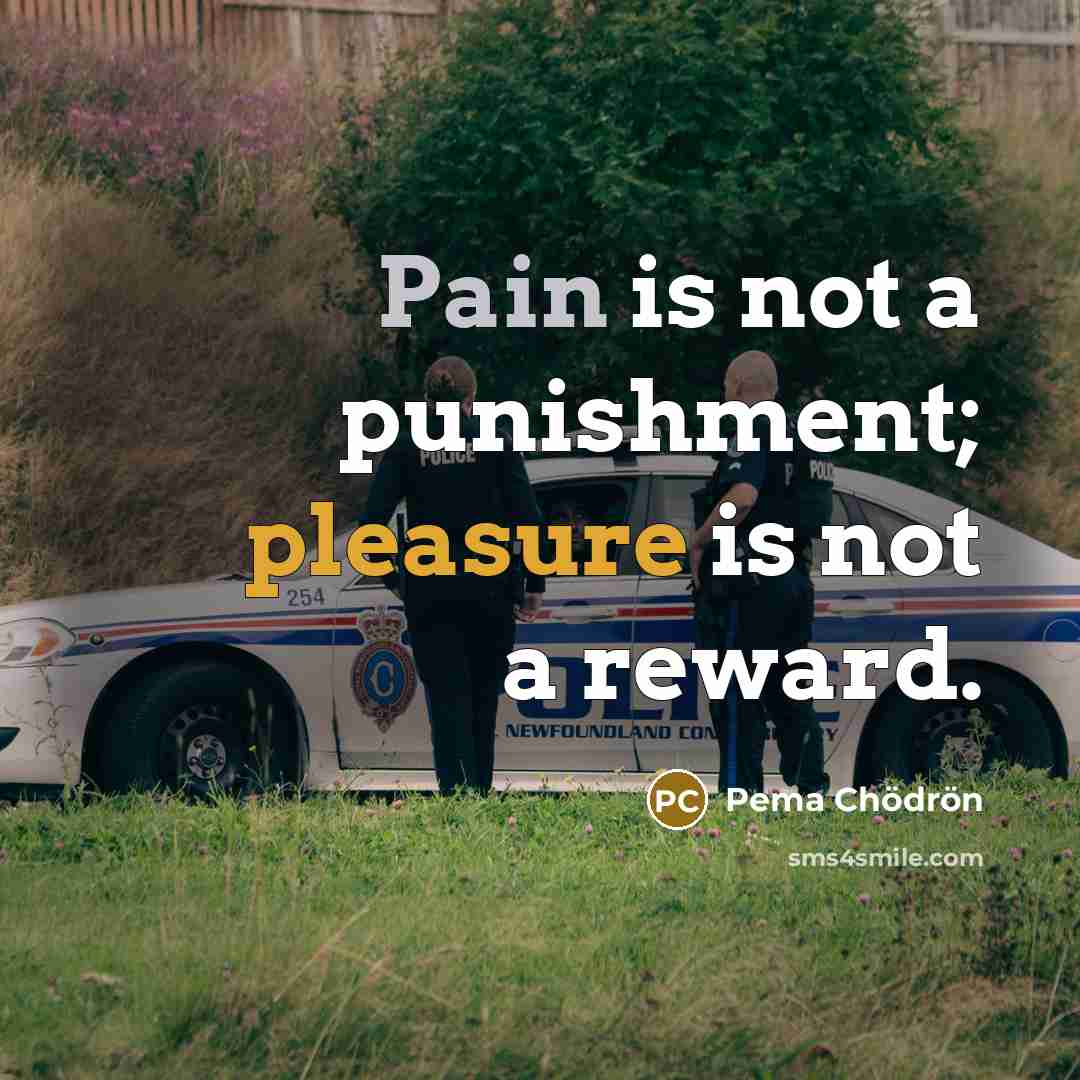 “Pain is not a punishment; pleasure is not a reward.…” quote by Pema Chodron
