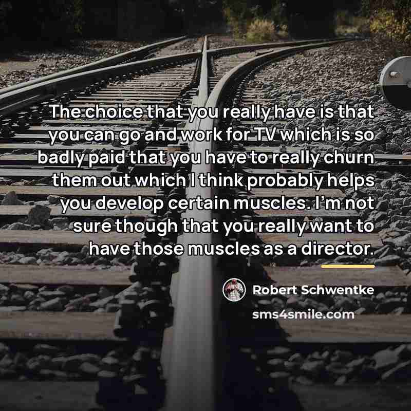 “The choice that you really have is that you can…” quote by Robert Schwentke