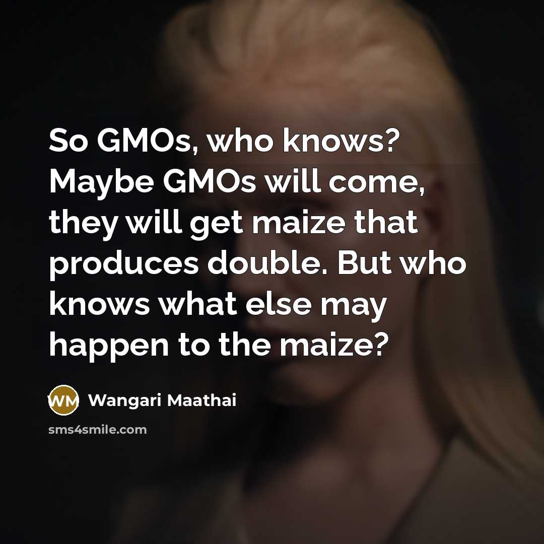 “So GMOs, who knows? Maybe GMOs will come, they will…” quote by Wangari Maathai