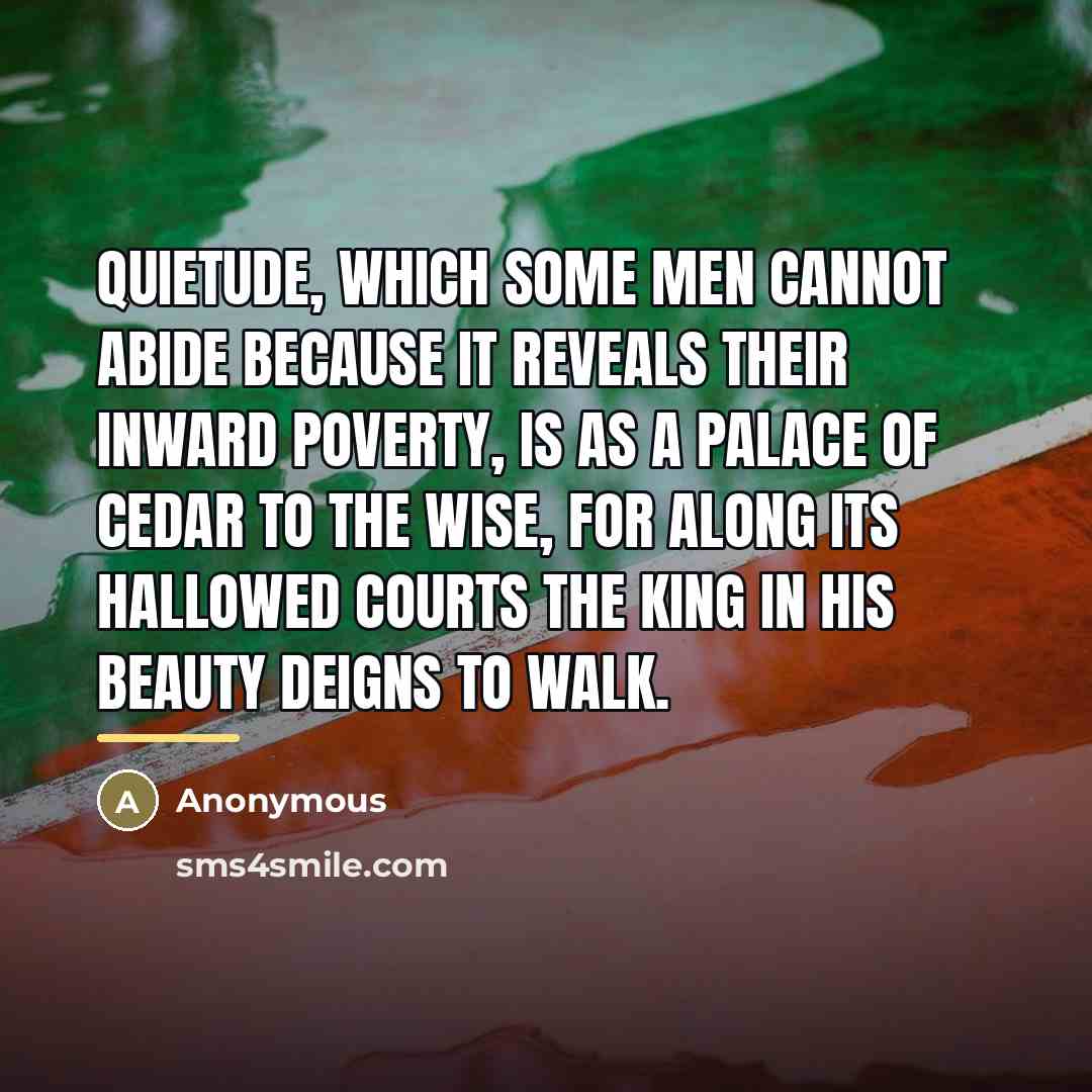 “Quietude, which some men cannot abide because it reveals their…” quote by Anonymous