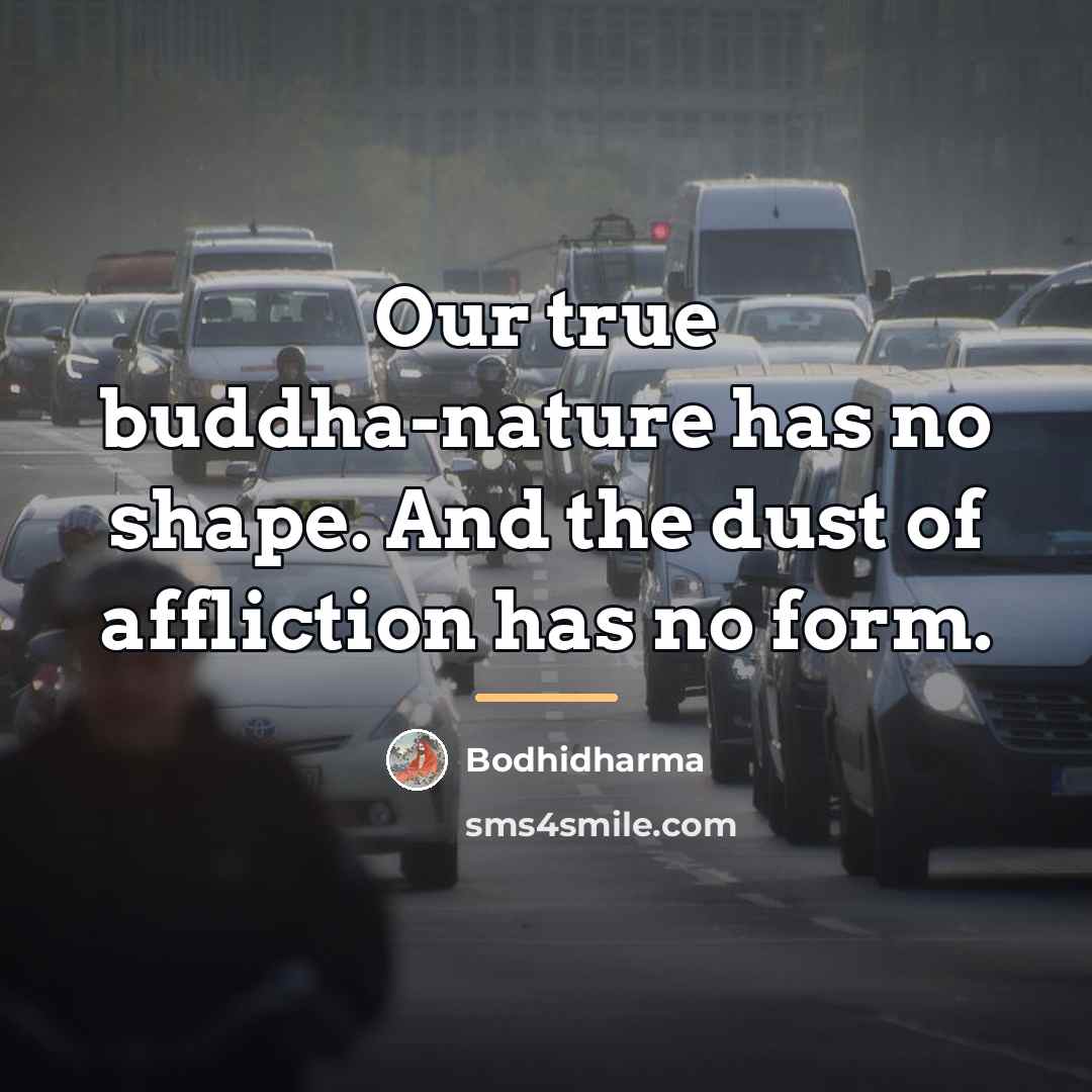 “Our true buddha-nature has no shape. And the dust of…” quote by Bodhidharma