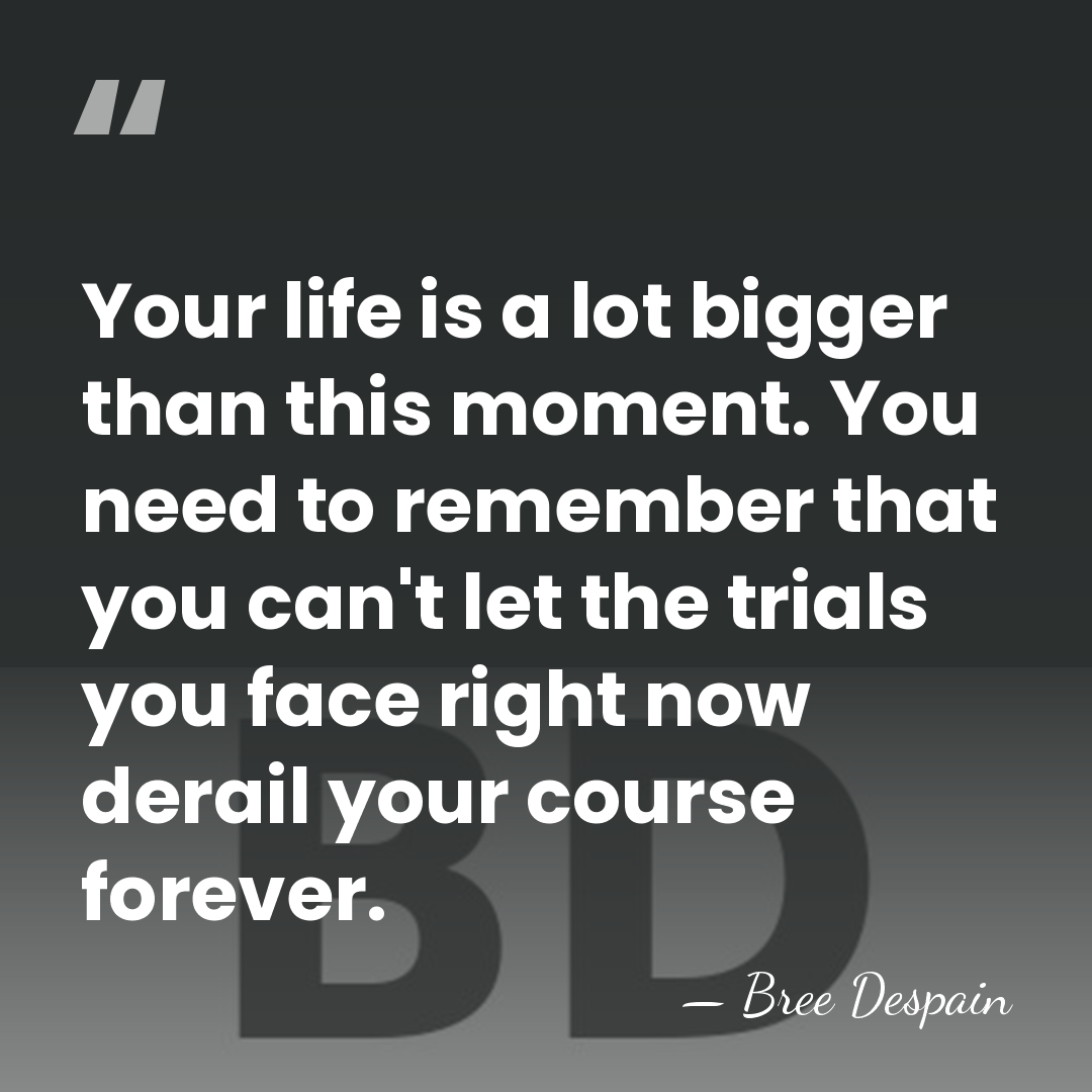 Your life is a lot bigger than this moment. You need to&hellip; - Bree Despain