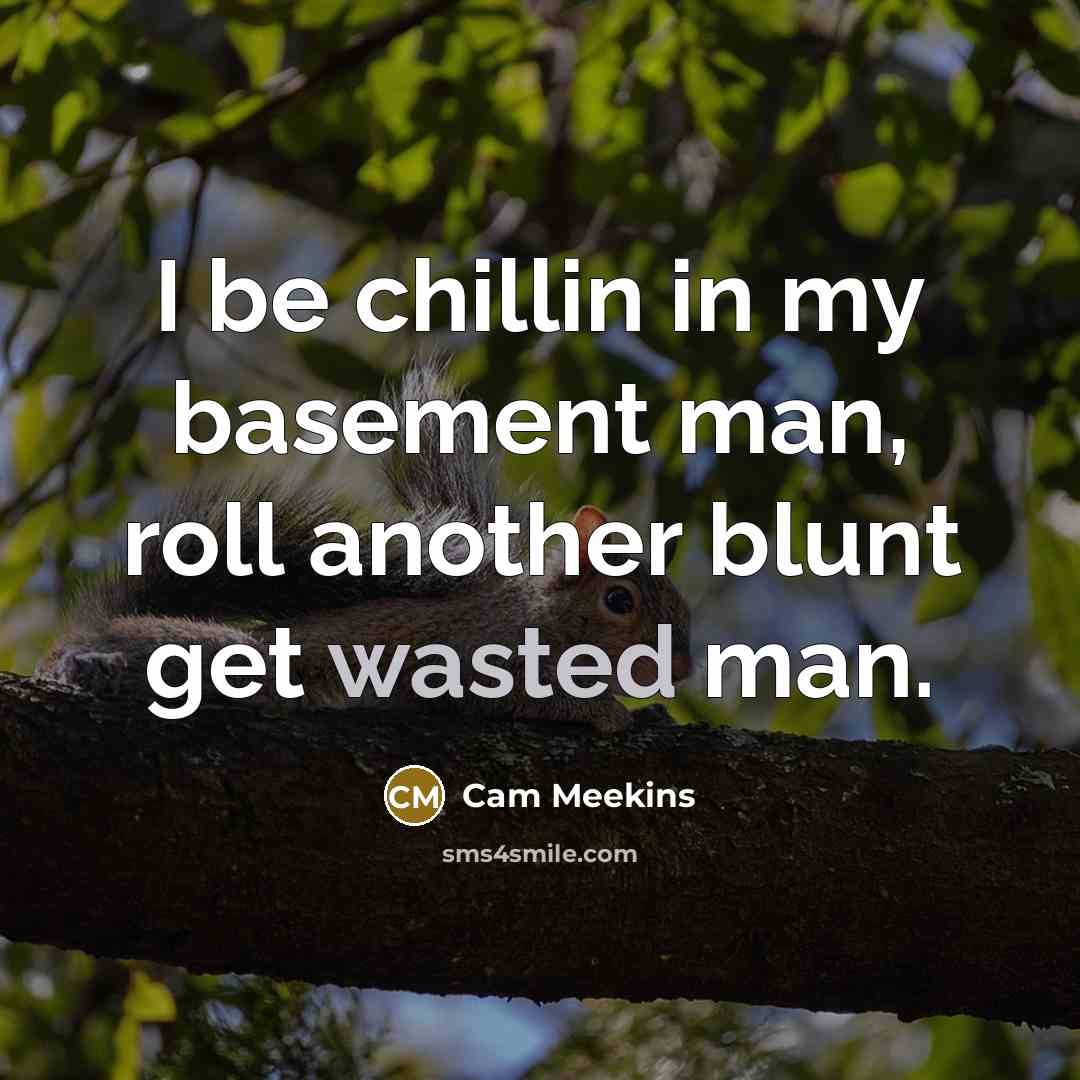“I be chillin in my basement man, roll another blunt…” quote by Cam Meekins