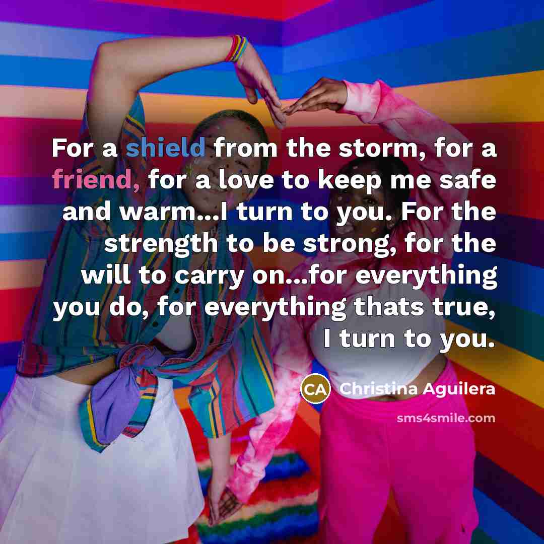 “For a shield from the storm, for a friend, for…” quote by Christina Aguilera