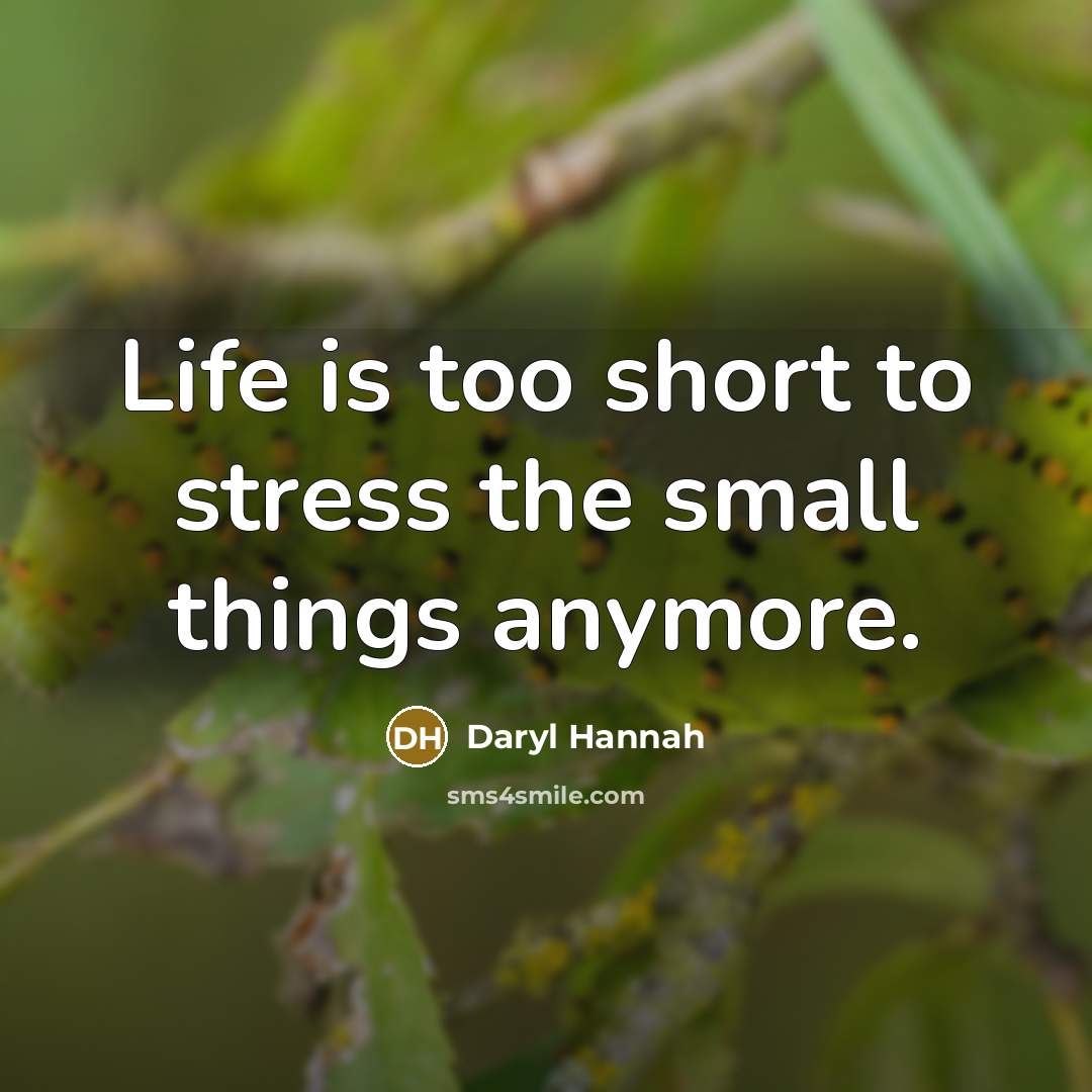 “Life is too short to stress the small things anymore.…” quote by Daryl Hannah