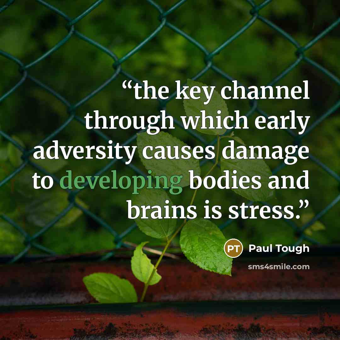 “the key channel through which early adversity causes damage to developing bodies and brains is stress.” quote by Paul Tough