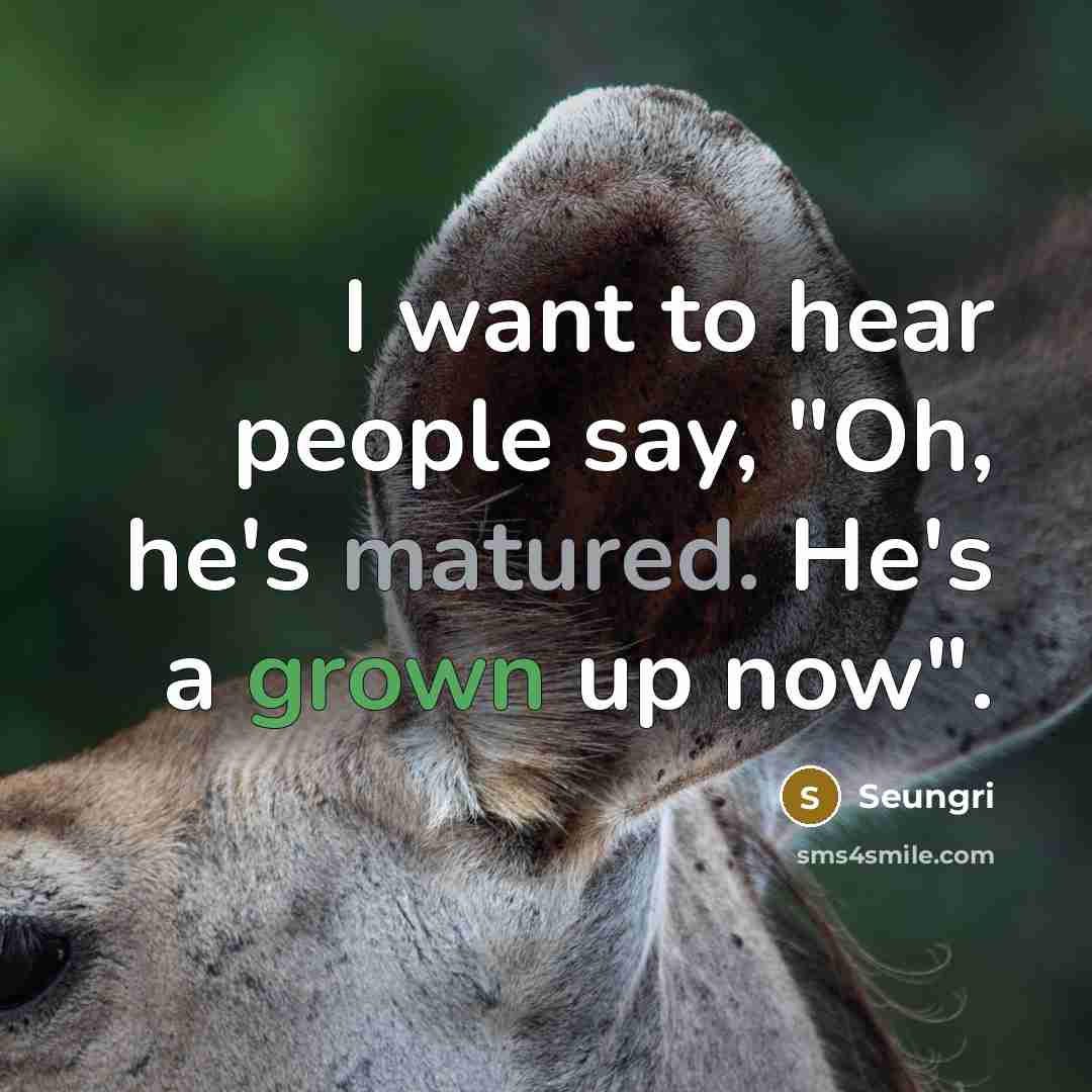 “I want to hear people say, "Oh, he's matured. He's a grown up now".” quote by Seungri