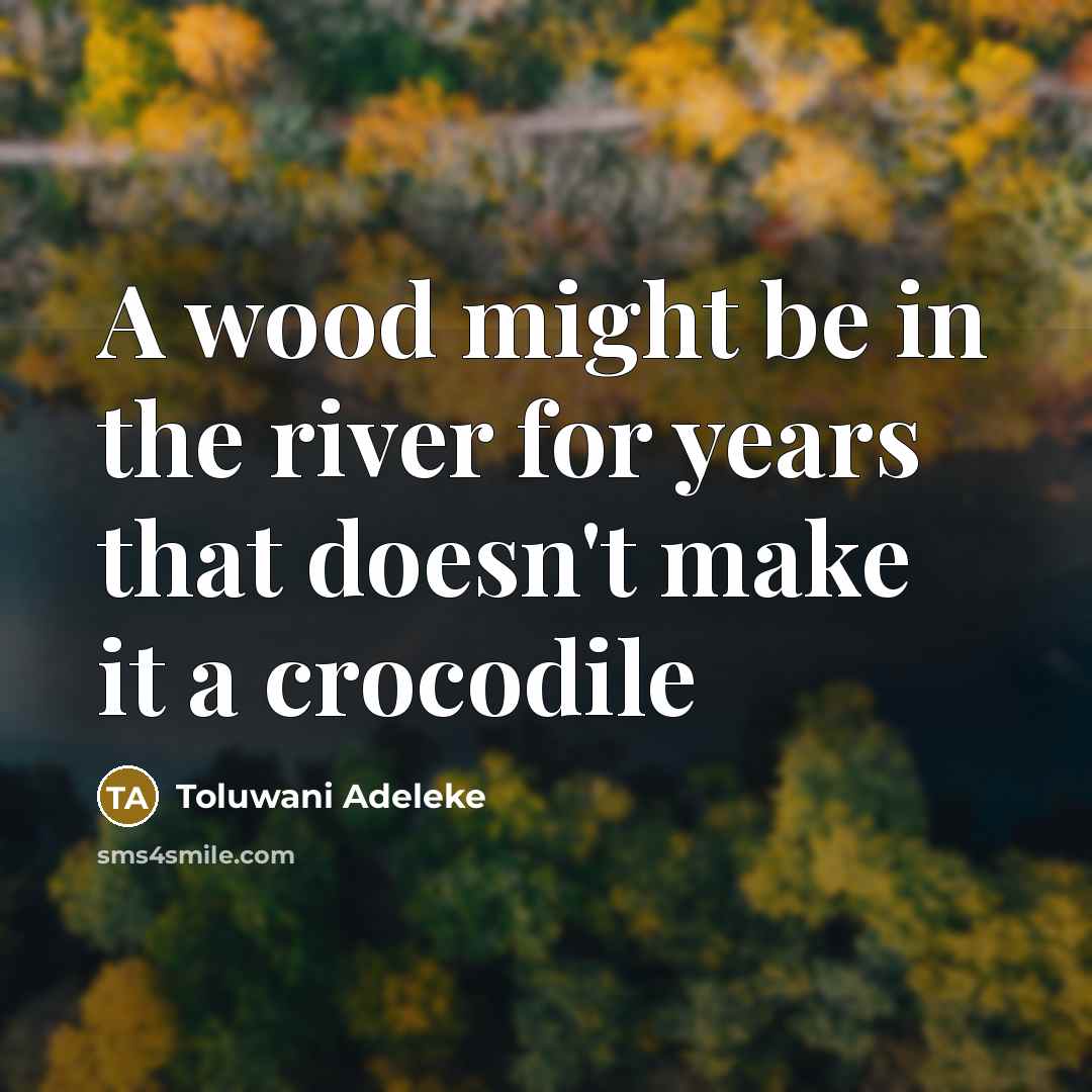 “A wood might be in the river for years that…” quote by Toluwani Adeleke