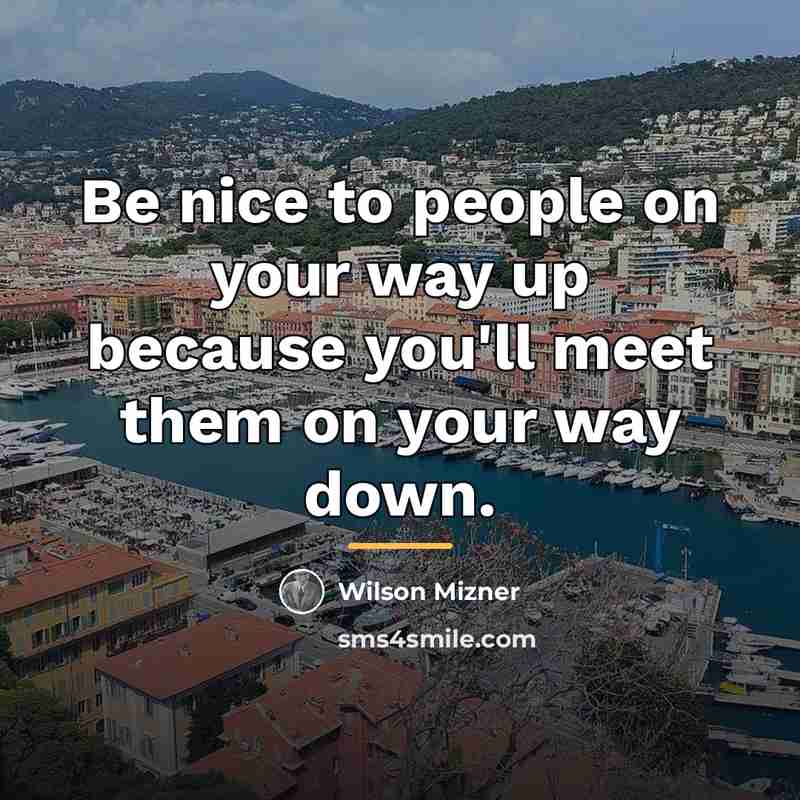 “Be nice to people on your way up because you'll…” quote by Wilson Mizner